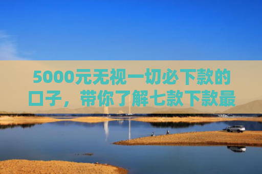 5000元无视一切必下款的口子，带你了解七款下款最快的网贷口子排行