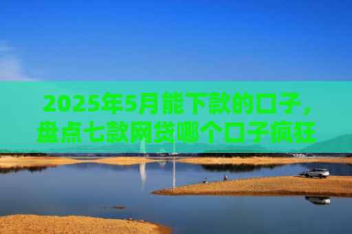 2025年5月能下款的口子，盘点七款网贷哪个口子疯狂下款
