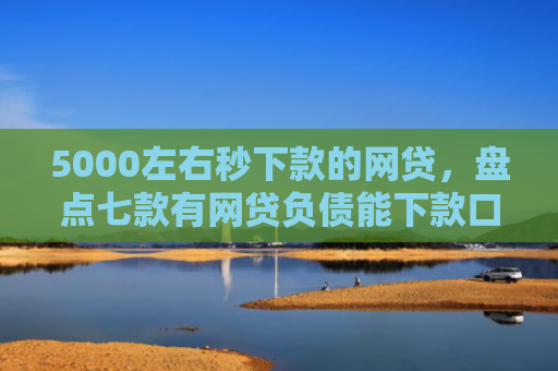 5000左右秒下款的网贷，盘点七款有网贷负债能下款口子
