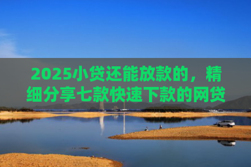 2025小贷还能放款的，精细分享七款快速下款的网贷小口子