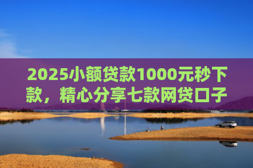 2025小额贷款1000元秒下款，精心分享七款网贷口子怎么填下款高