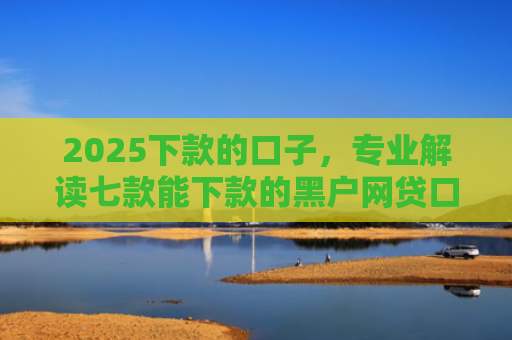 2025下款的口子，专业解读七款能下款的黑户网贷口子