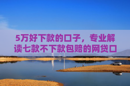 5万好下款的口子，专业解读七款不下款包赔的网贷口子