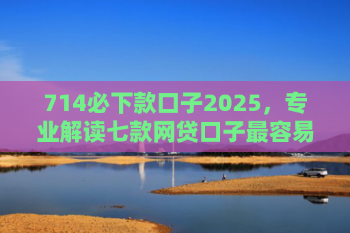 714必下款口子2025，专业解读七款网贷口子最容易下款吗