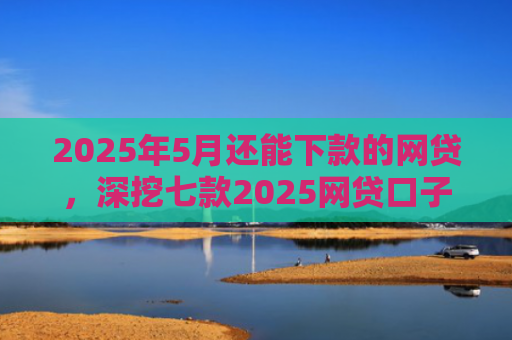 2025年5月还能下款的网贷，深挖七款2025网贷口子下款快