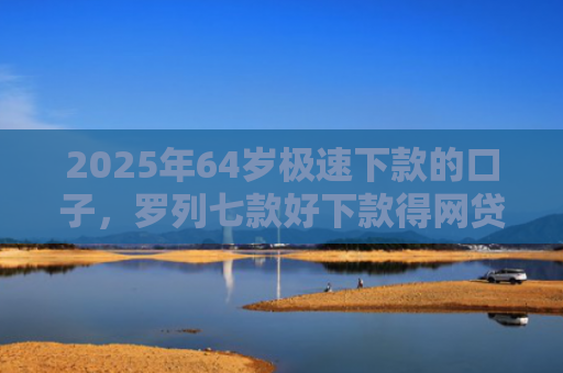 2025年64岁极速下款的口子，罗列七款好下款得网贷口子