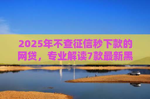 2025年不查征信秒下款的网贷，专业解读7款最新黑户网贷下款口子