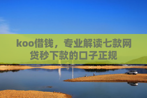 koo借钱，专业解读七款网贷秒下款的口子正规