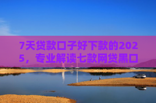 7天贷款口子好下款的2025，专业解读七款网贷黑口子哪个下款快