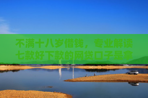 不满十八岁借钱，专业解读七款好下款的网贷口子是拿家