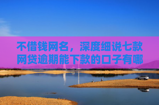 不借钱网名，深度细说七款网贷逾期能下款的口子有哪些