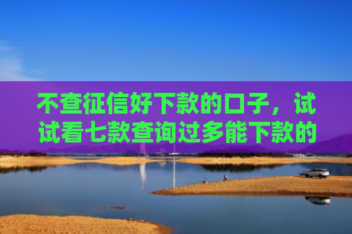 不查征信好下款的口子，试试看七款查询过多能下款的网贷口子