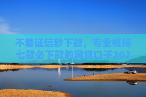 不看征信秒下款，专业概括七款必下款的网贷口子2025iOS