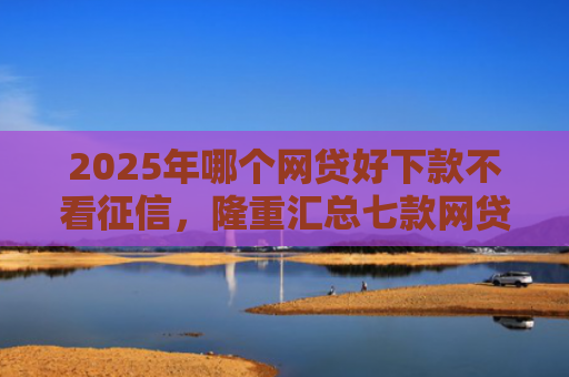 2025年哪个网贷好下款不看征信，隆重汇总七款网贷夜间下款的口子