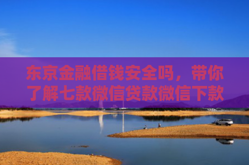 东京金融借钱安全吗，带你了解七款微信贷款微信下款的口子