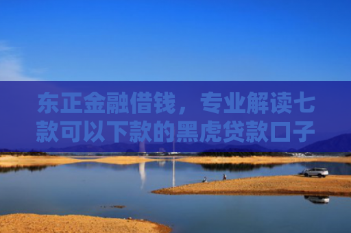 东正金融借钱，专业解读七款可以下款的黑虎贷款口子