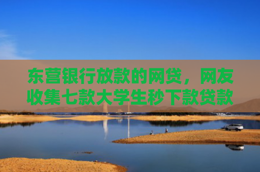 东营银行放款的网贷，网友收集七款大学生秒下款贷款口子6