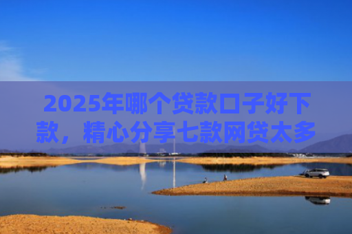2025年哪个贷款口子好下款，精心分享七款网贷太多易下款口子