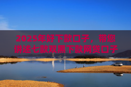 2025年好下款口子，带您讲述七款双黑下款网贷口子