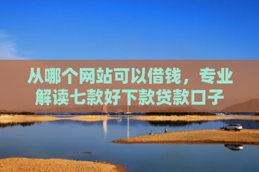 从哪个网站可以借钱，专业解读七款好下款贷款口子