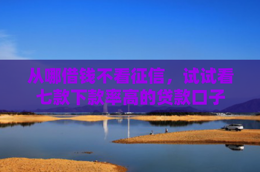 从哪借钱不看征信，试试看七款下款率高的贷款口子