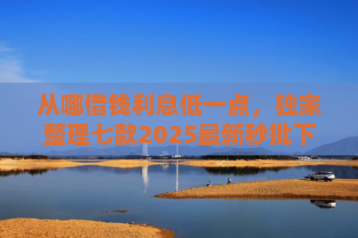 从哪借钱利息低一点，独家整理七款2025最新秒批下款的小额贷款口子