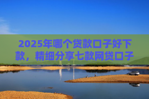 2025年哪个贷款口子好下款，精细分享七款网贷口子直接下款