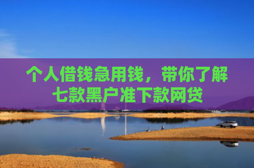 个人借钱急用钱，带你了解七款黑户准下款网贷