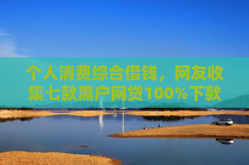 个人消费综合借钱，网友收集七款黑户网贷100%下款