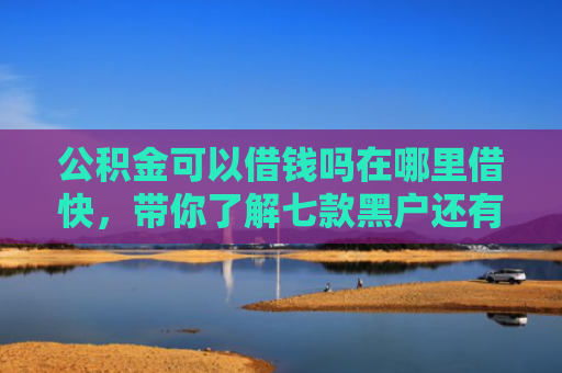 公积金可以借钱吗在哪里借快，带你了解七款黑户还有什么网贷下款