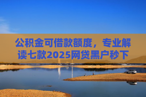 公积金可借款额度，专业解读七款2025网贷黑户秒下款