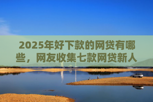 2025年好下款的网贷有哪些，网友收集七款网贷新人下款口子
