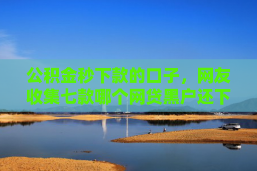 公积金秒下款的口子，网友收集七款哪个网贷黑户还下款