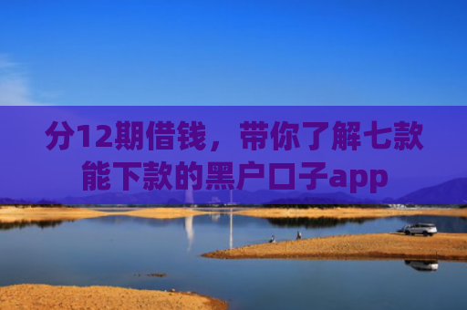 分12期借钱，带你了解七款能下款的黑户口子app