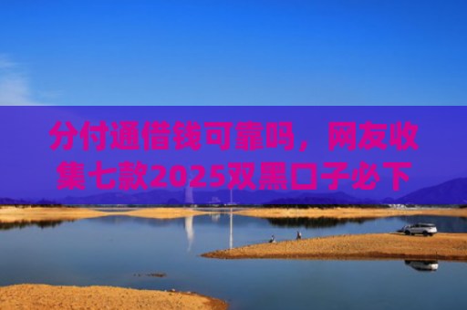 分付通借钱可靠吗，网友收集七款2025双黑口子必下款app