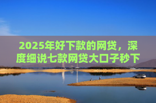 2025年好下款的网贷，深度细说七款网贷大口子秒下款
