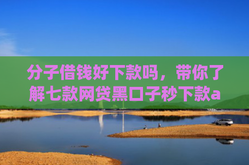 分子借钱好下款吗，带你了解七款网贷黑口子秒下款app入口