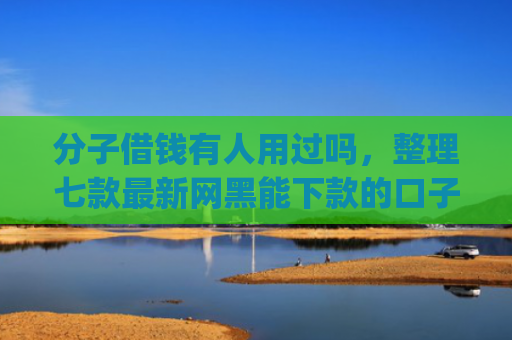 分子借钱有人用过吗，整理七款最新网黑能下款的口子app