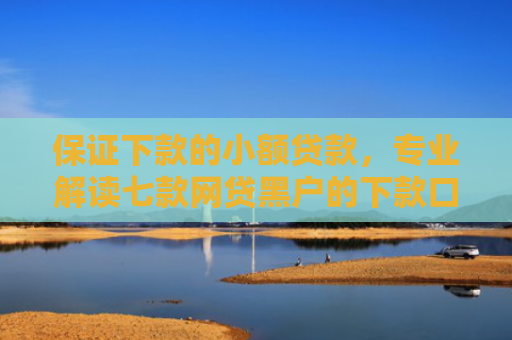 保证下款的小额贷款，专业解读七款网贷黑户的下款口子贴吧