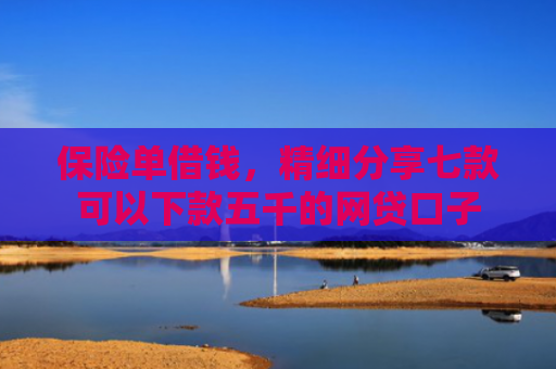 保险单借钱，精细分享七款可以下款五千的网贷口子