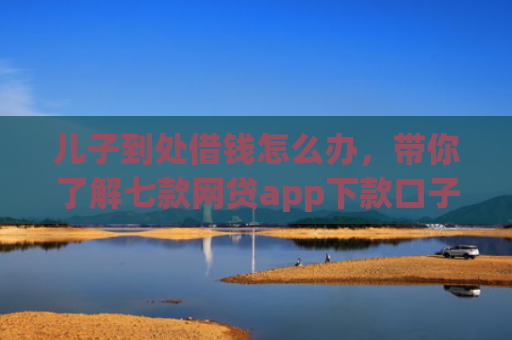 儿子到处借钱怎么办，带你了解七款网贷app下款口子