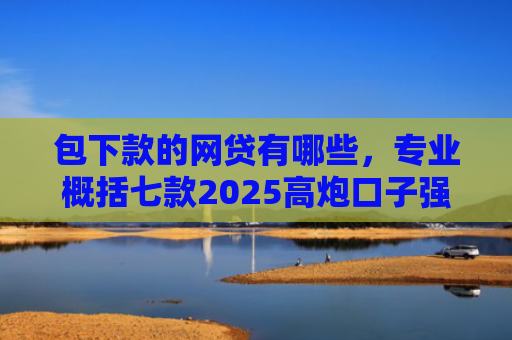 包下款的网贷有哪些，专业概括七款2025高炮口子强制下款网贷