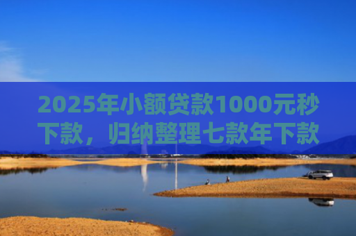 2025年小额贷款1000元秒下款，归纳整理七款年下款的网贷口子