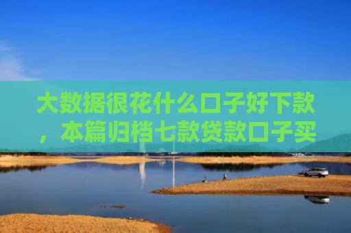 大数据很花什么口子好下款，本篇归档七款贷款口子买下款