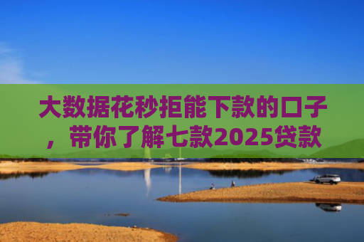 大数据花秒拒能下款的口子，带你了解七款2025贷款口子下款