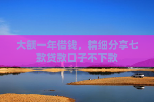 大额一年借钱，精细分享七款贷款口子不下款