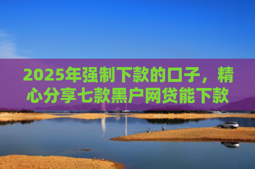 2025年强制下款的口子，精心分享七款黑户网贷能下款口子