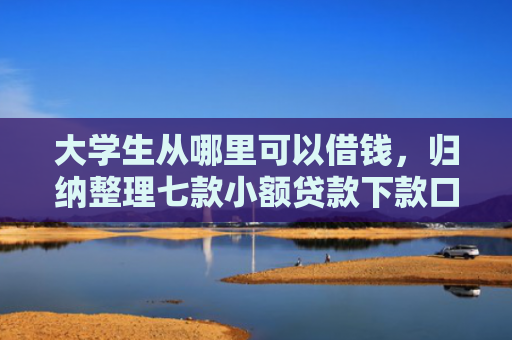 大学生从哪里可以借钱，归纳整理七款小额贷款下款口子