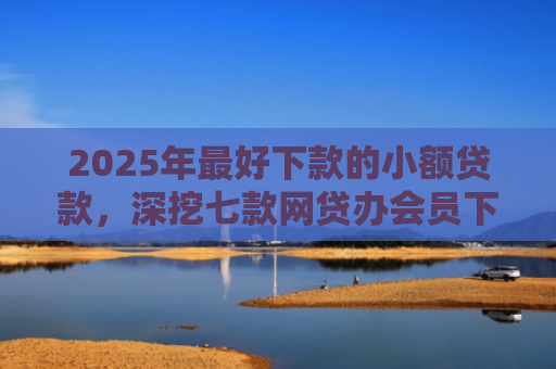 2025年最好下款的小额贷款，深挖七款网贷办会员下款口子