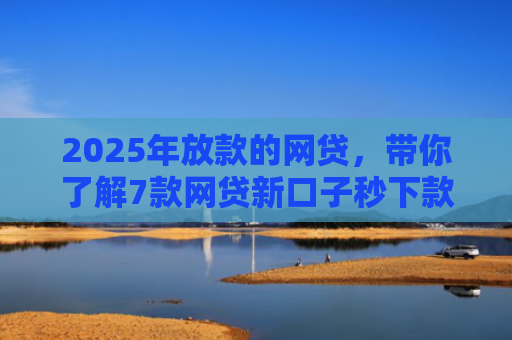 2025年放款的网贷，带你了解7款网贷新口子秒下款